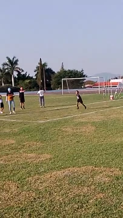 Entrenamiento de atletismo Fit-Ness Running en video
